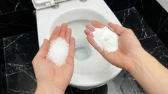 Salt och bikarbonat i toaletten: därför rekommenderar rörmokare det – och vad det är bra för
