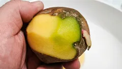Gröna potatisar: kan man äta dem och varför blir de gröna?