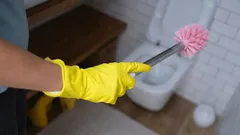 Hur ofta behöver man byta toalettborste? Experternas åsikter går isär