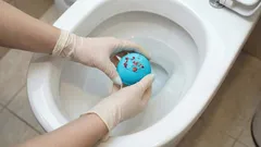 Så rengör du toaletten utan att röra vid den: den här hemmagjorda lösningen gör städningen enklare