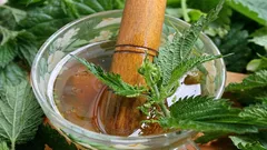 Så förvandlar du vanlig nässla till nyttig gödsel: recept på näringsrik nässelinfusion