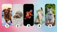 Vad ditt val av husdjur säger om dig: ett test som avslöjar din personlighet