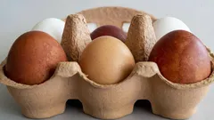 3 sätt att avgöra om ägg i kylskåpet har blivit dåliga – det är enklare än du tror