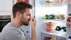 Kylskåpet kommer att dofta fräscht utan köpta kemikalier – en vanlig skål hjälper