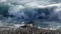 En asteroid orsakade en megatsunami utanför Europas kuster: när och var inträffade det?