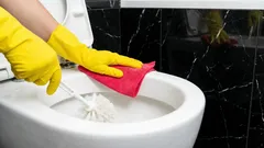 Städare berättar inte om det här: Det enklaste sättet att få toaletten att glänsa av renhet